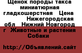 Щенок породы такса миниатюрная гладкошерстная › Цена ­ 30 000 - Нижегородская обл., Нижний Новгород г. Животные и растения » Собаки   